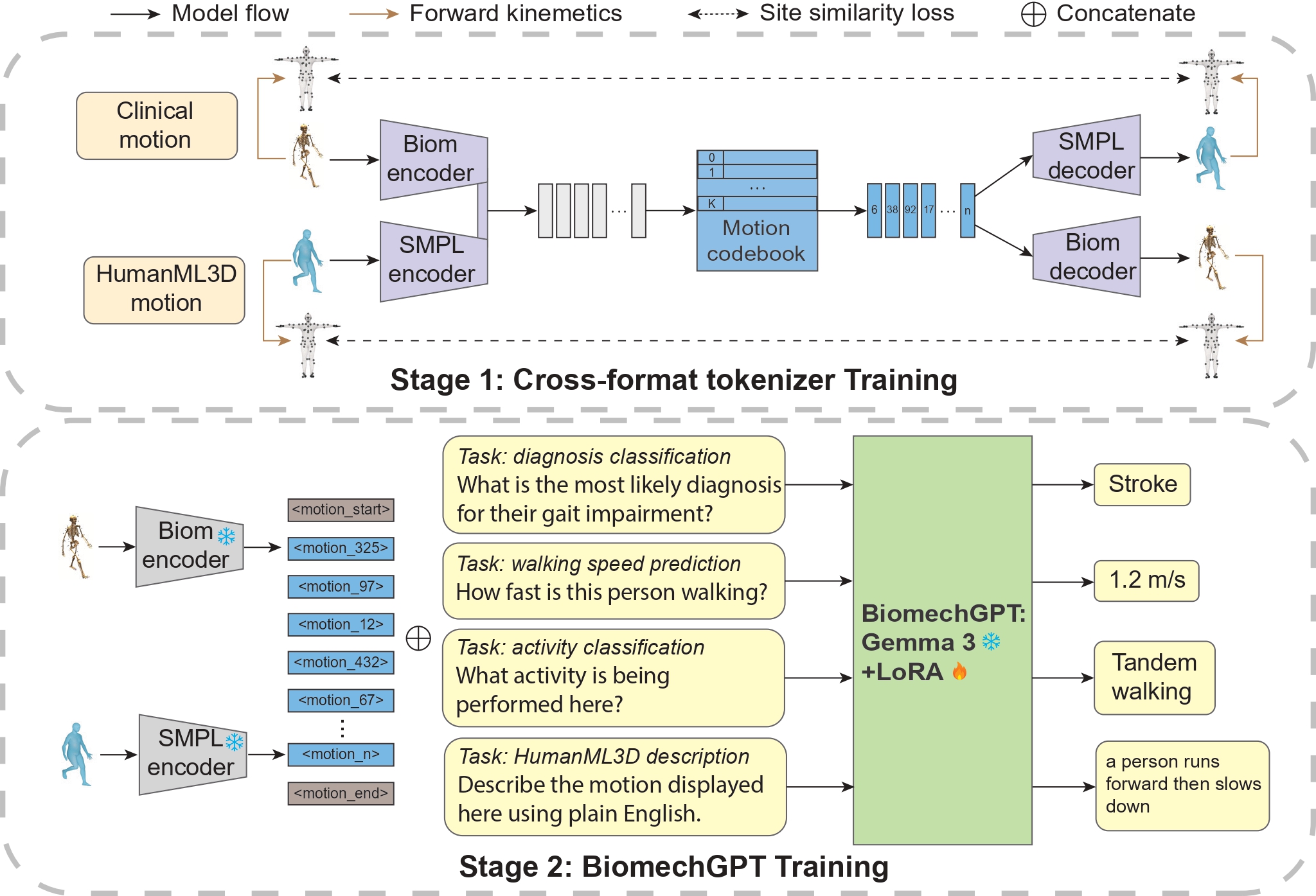 Model overview